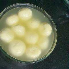 A picture of Chisel Rasgulle.