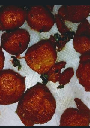 A picture of Soya Chunks 65.