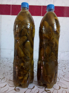 عکسی از دستور خیار شور خانگی😋😉
