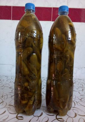 عکسی از دستور خیار شور خانگی😋😉