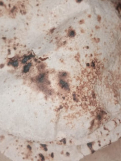 A picture of Soft wheat roti.