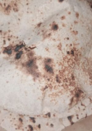 A picture of Soft wheat roti.