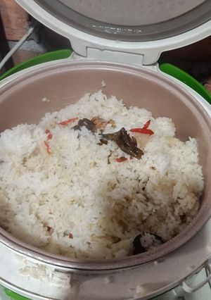 Foto resep Nasi liwet magic com simple