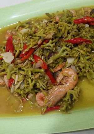 Foto resep Tumis ebi bunga pepaya