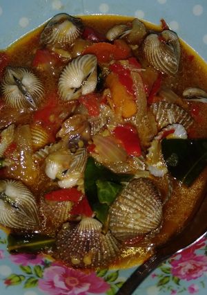 Foto resep Kerang Dara Saus Padang