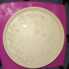 A picture of Saboodana kheer.