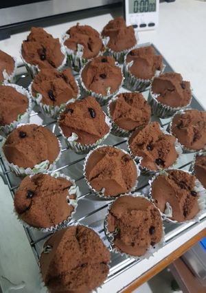 Foto resep Bolkus Coklat (traditional)
