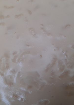 Una foto de Arroz con leche Turbo Cuisine