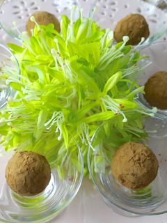 影音示範 十分鐘 松露巧克力蛋糕球 的食譜成品照片