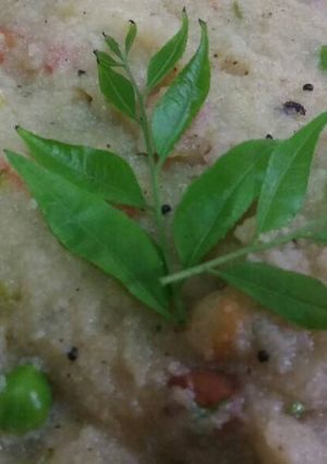 वेजीस उपमा (Veggies Upma recipe in hindi) रेसिपी मुख्य फोटो