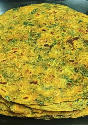 A picture of Methi Lauki Thepla.