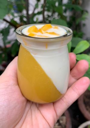 Hình của món Panna cotta Xoài.