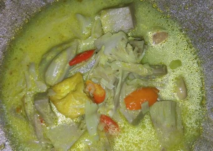 Standar Cara gampang buat Sayur Santan nangka yang istimewa