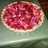 Tarta de frutillas