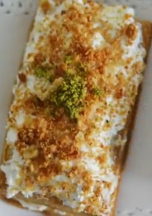 عکسی از دستور ناپلوئنی