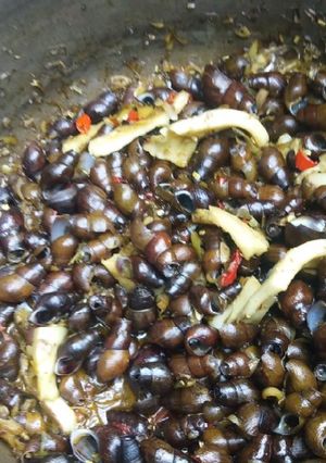 Hình của món Ốc đá xào dừa.