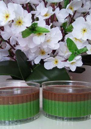 Foto resep Puding Green Tea Lapis Coklat