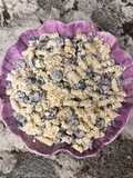 Vavo's Bleu Cheese Pasta Salad