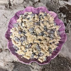 A picture of Vavo's Bleu Cheese Pasta Salad.