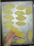 Galletitas de Jengibre y Limón