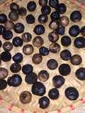 Black Garlic Made with a Rice Cooker