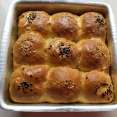 A picture of Bun.