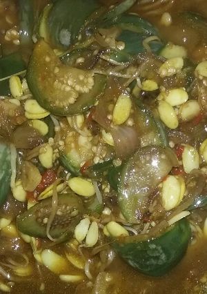 Foto resep Tumis terong lalap cambah