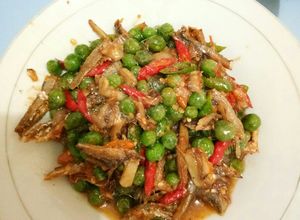 Foto resep Tumis cempoka with terri