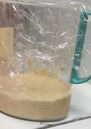 A picture of Sour bread dough starter.