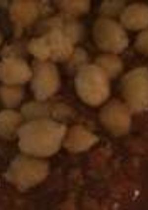 صورة لوصفة طريقة عمل يخنة بندورة باللحم