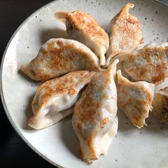 A picture of Canned Mackerel Gyoza.