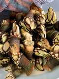 Cómo cocer percebes