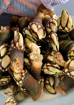 Una foto de Cómo cocer percebes
