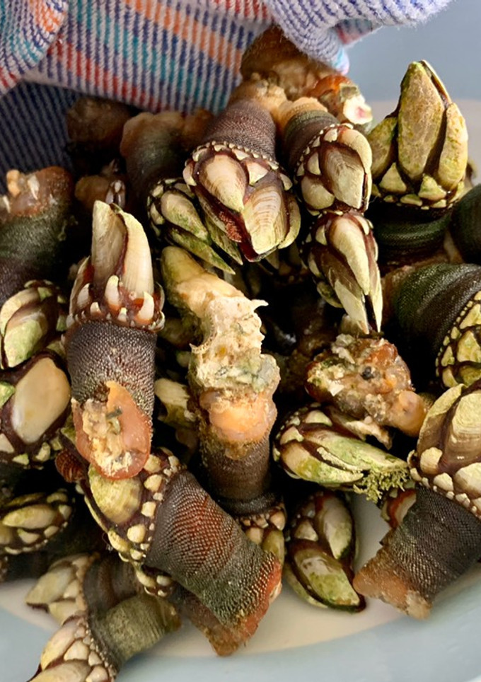 Una foto de Cómo cocer percebes