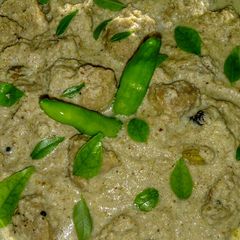 A picture of Soyabin Korma.