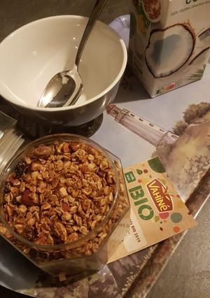 Une photo de Granola maison