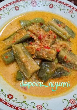 Foto resep Terong Kuah Santan Pedas ala Mak Sah