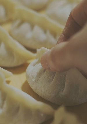 A picture of Hand Mixer Pork and Napa Cabbage Dumplings.