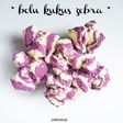 Bolu Kukus Zebra