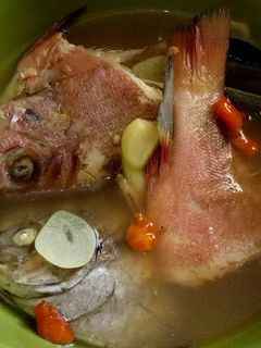 Foto resep Kakap Merah+Dorang kuah asem Seger