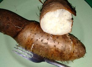 Foto resep Gembili kukus