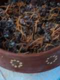 Picadillo ranchero con zanahoria rallada