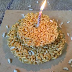 A picture of Murmurra chikki cake.