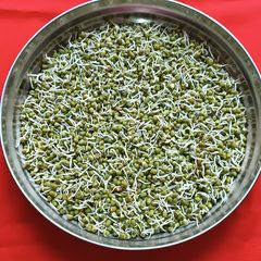 A picture of Sprouted moong.