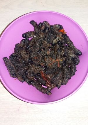 A picture of Mopane worms.