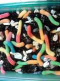 dirt and worms