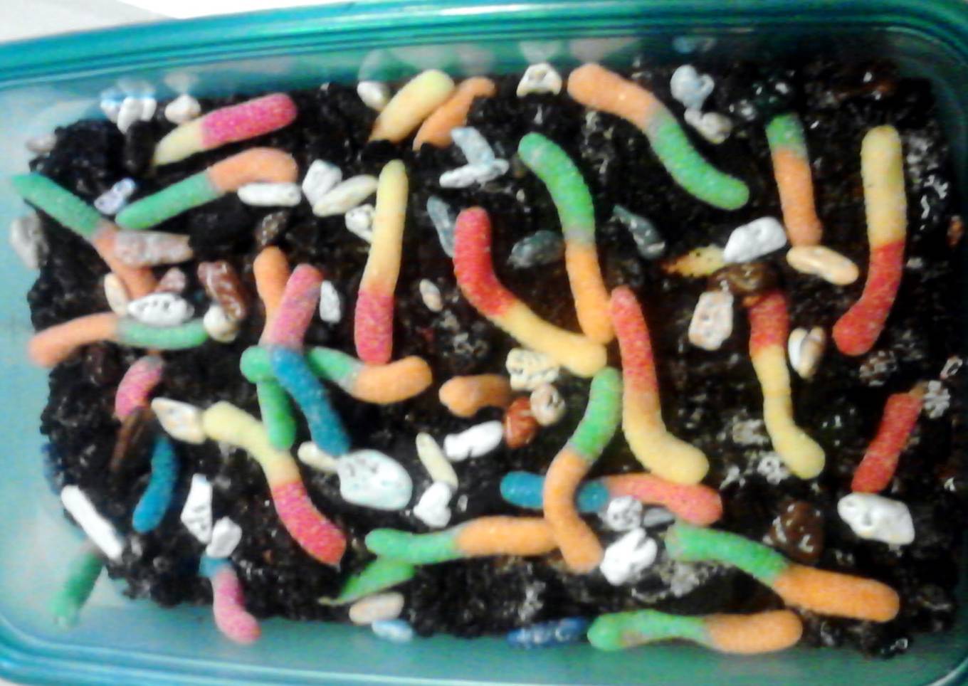 dirt and worms