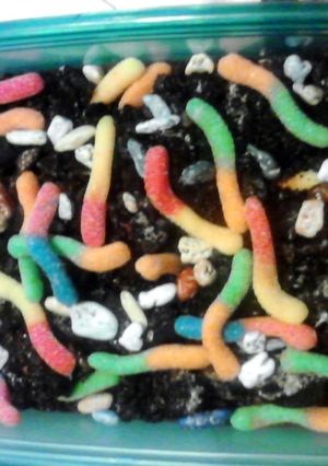 A picture of dirt and worms.