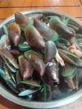 Kerang Hijau Rebus