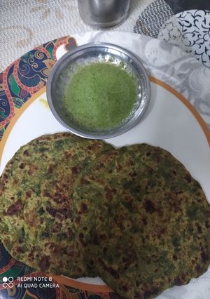 मेथी पराठा (Methi Paratha recipe in Hindi) रेसिपी मुख्य फोटो
